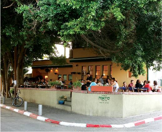 נווה צדק